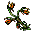 Spit Nettle